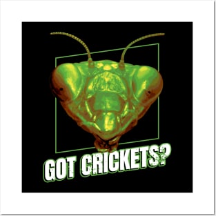 Praying Mantis Got Crickets Funny Insect Quotes Posters and Art